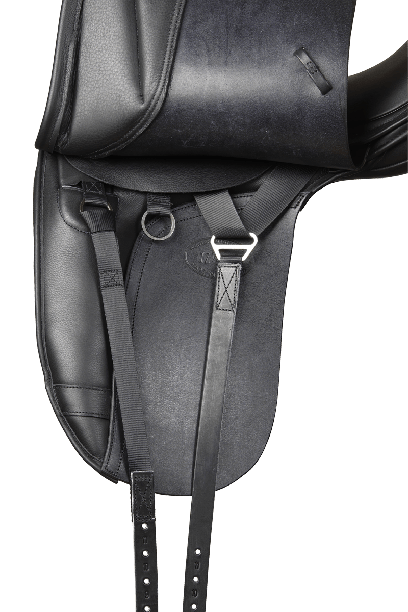 s-series-dressage-surface-block-standard-wither.4_f