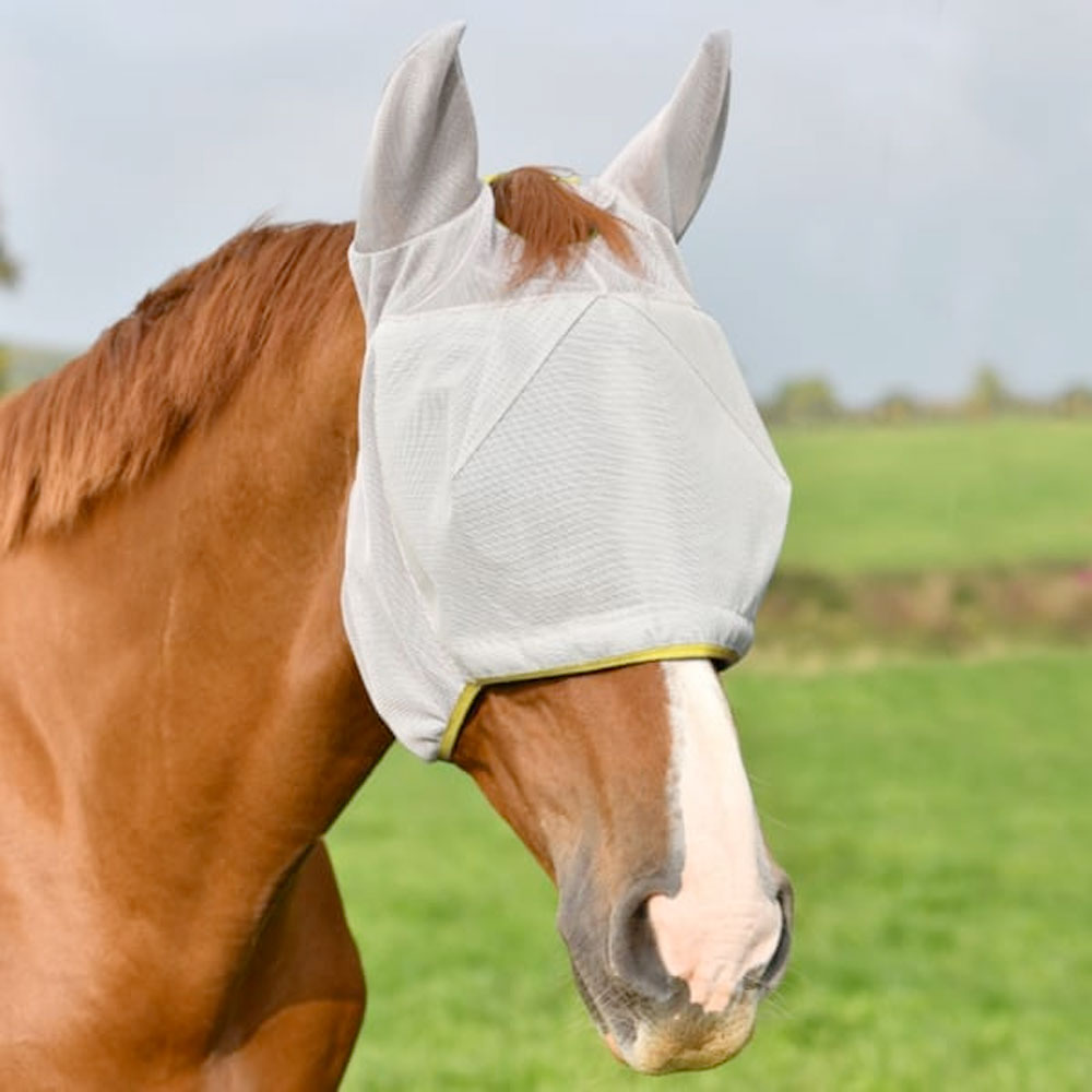 fly-mask