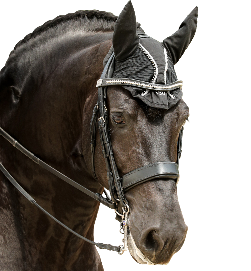 black-crystal-browband-1.1_f